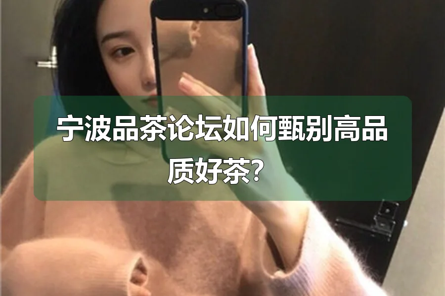 宁波品茶论坛如何甄别高品质好茶？